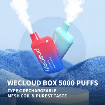  Us Best Selling 5000 Puffs Disposable Box Vape No Nicotine No Tobacco