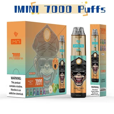  Shopping Imini Best Smoke Electronic Cigarette Price Smoking Disposable Vape Puff Plus 600 1600 2000 5000 6000 7000 8000 9000 10000 9K 10K Spain France