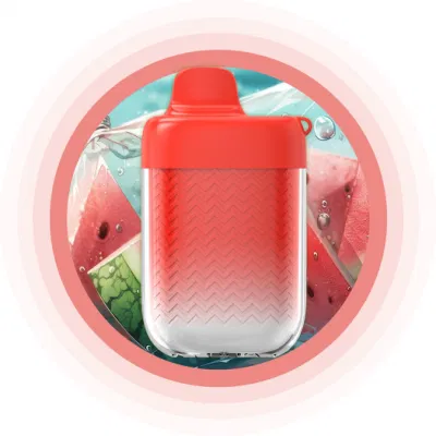 Fruits Series Disposable Electronic Cigarette 9000 Puffs Vape Pot Zero Nicotine Menthol Ice