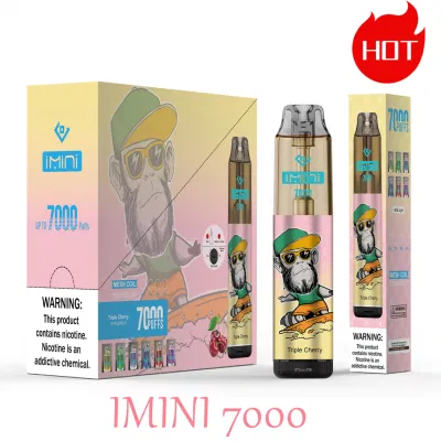  100% Newst Hot Sell Authentic Imini 7000 Puffs Disposable Vape Pen 850 mAh Recharger Battery 20 Flavors Cheap Vapor Pen Factory Direct