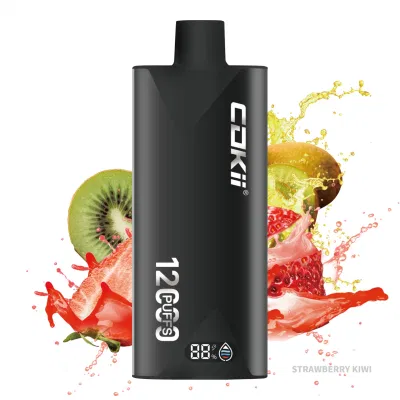 Hotbox Vape E Cigarette Disposable Electronic Cigarette 12000 Puffs Vape