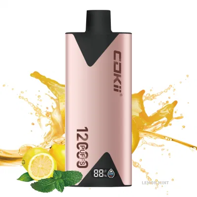 Hotbox Vape E Cigarette Disposable Electronic Cigarette 12000 Puffs Vape