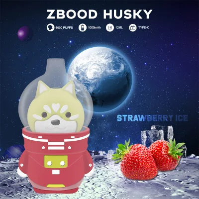 Zbood Space Husky Vape 6000 Violet Pod Space Turn E Cigarrer E Vape OEM ODM Cigarettes