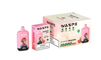 Original Factory E Cigarette Vapanda Infinity Cheapest Vape Randm Disposable Pod 9000 15K Puffs Disposable Vape