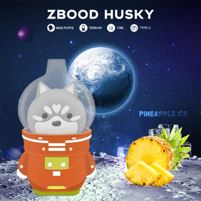 Zbood Space Husky Vape 6000 Violet Pod Space Turn E Cigarrer E Vape OEM ODM Cigarettes