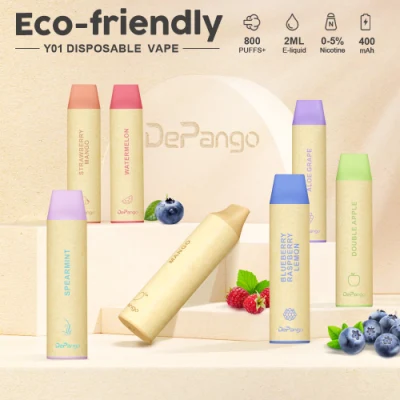 Eco-Friendly Disposable Vape 800puffs with CE Tpd Custom Flavor 2ml 400mAh Electronic Cigarette