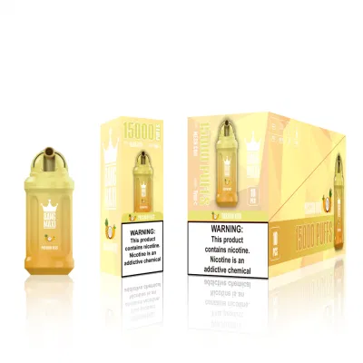Hot Bang Maxi 15000 Puffs Rechargeable Disposable E-Cigarette Vape