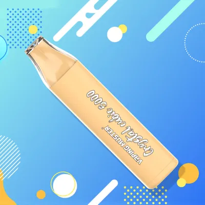 Vaping Muster Newest Disposable Vape Pen Crystal Cubic 5000 Mesh Coil 12ml OEM ODM 100 Flavors Rechargeable with Type-C Ecigs