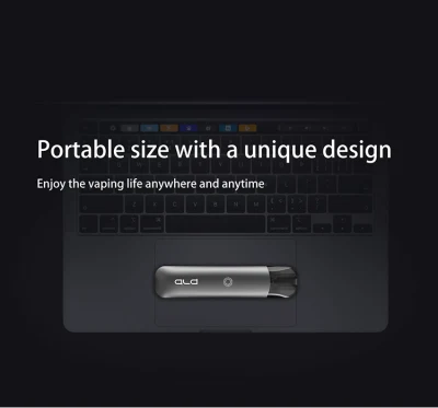 Private Label 300 Puff Blu Style Pod Disposable Vape 400mAh Electronic Cigarette