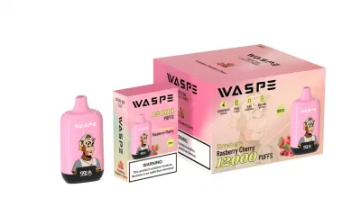 Original Factory E Cigarette Vapanda Infinity Cheapest Vape Randm Disposable Pod 9000 15K Puffs Disposable Vape