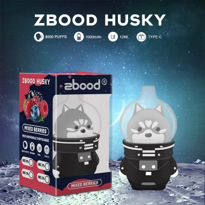 Zbood Space Husky Vape 6000 Violet Pod Space Turn E Cigarrer E Vape OEM ODM Cigarettes