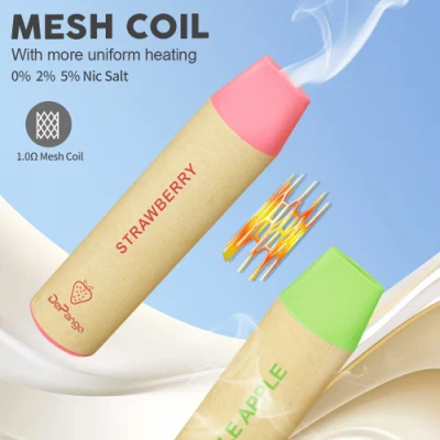 Eco-Friendly Disposable Vape 800puffs with CE Tpd Custom Flavor 2ml 400mAh Electronic Cigarette