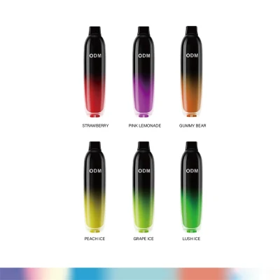 2023 Newest 4000 Puff102ml Vape Nicotine Salt Mesh Coil Transparent Disposable Pod