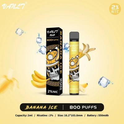 Wholesale Vapor Products 800 Puff Disposable Vape Electronic Cigarette Starter Kits Elektromos Cigaretta Elektronische Sigaret