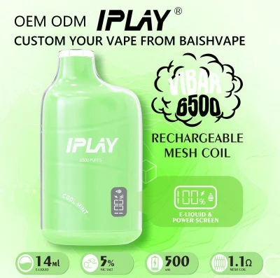 Zbood Personalized Te 5000 Mini Cup Bm600 E Cig Iplay Vibar 6500 Puff Disposable Vape with Smart Display Screen