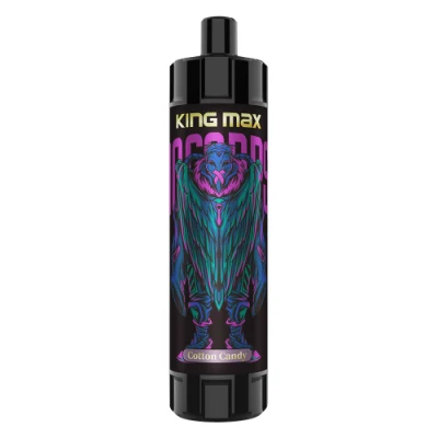 Wholesale Disposable Vape Breze Stiik King Max 10000 Puffs Hotbox Vape
