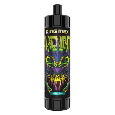 Wholesale Disposable Vape Breze Stiik King Max 10000 Puffs Hotbox Vape