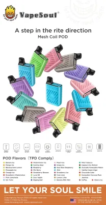 Newest Simple, Superior &amp; Sleek Pod Mod 2ml Vape of Vapesoul