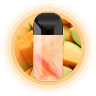 OEM&ODM 5000puff Rechargeable Disposable E-Cigarette 12ml Vape