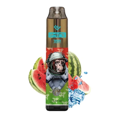 Popular 0% 2% 5% Smoke Vape RM Tornado 7000 Imini 7000 Puffs Vape Pen Wholesale E Cigarette Vaporizer