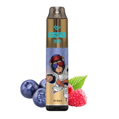 Popular 0% 2% 5% Smoke Vape RM Tornado 7000 Imini 7000 Puffs Vape Pen Wholesale E Cigarette Vaporizer