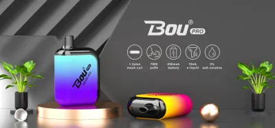 2023 Hong Kong OEM Wholesale South Africa Top 10 5% Nicotine Oil Electric Cigarette Mesh Coil Disposable Vape 7000 Puff Dry Herb Vaporizer Shop