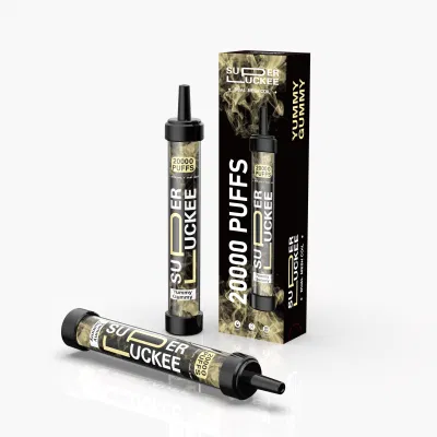 Best Selling 20000puffs Dual Mesh Coil Disposable Pod with CE
