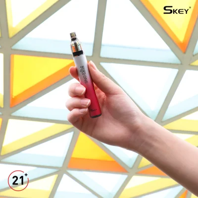 Wholesale I Vape UK EU Amazon Top 1 Sales Vape Pen Empty Disposable Electronic Cigarette Hookah Pen Skey Rd One 5000 10000 Puff E Cigarette Vs Aspire R1 Plus