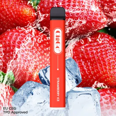 EU Hot Sale Factory Tpd Certificate Electronic Cigarette 600 Puffs Disposable Vape Wholesale