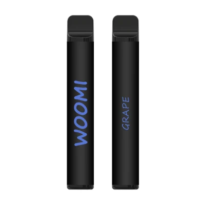 2023 Various Flavors Woomi Vape 2% Nicotine Mesh Coil Electronic Cigarette Rock 600 Puffs Disposable Vape