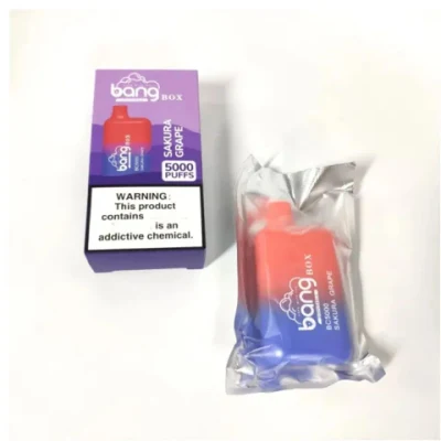 Disposable 5000puffs Smoke Vape Pen Bang Box 5000puff Energy