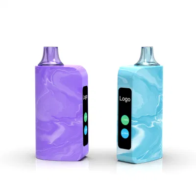 High Quality Vape Pen 10000 Puffs Energy Dual Mesh Coil 35/50 Mg Nicotine with Type C 650mAh Battery