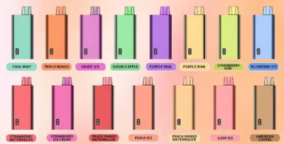 OEM LED Smart Display E Cigarette Waka Elfworld Hookah Price 8000 Puffs Disposable Vape Pen Factory Cheap Vapes