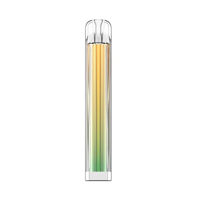 UK Hot Selling OEM 2ml 20mg Nicotine 600puffs Mesh Coil Disposable Vape