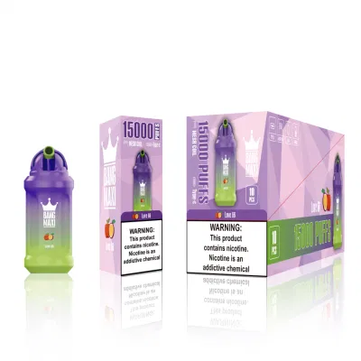 Hot Bang Maxi 15000 Puffs Rechargeable Disposable E-Cigarette Vape