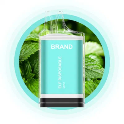Puff&Youup Brand Mini Cube 600 Puff Bar E-Cigarette Wholesale I Disposable Vape