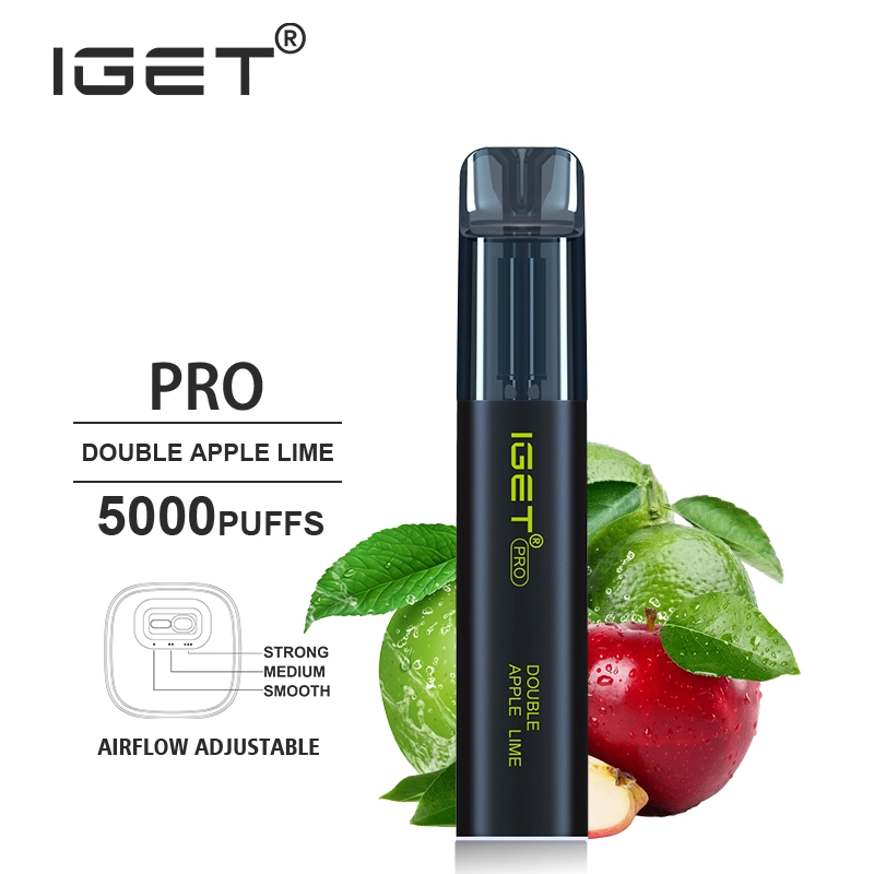 Iget Original Wholesale 5000puff Disposable Vape Iget PRO 13flavors