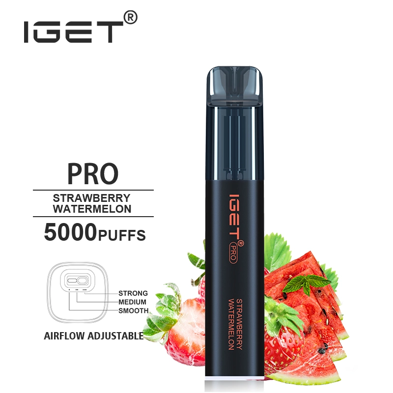 Iget Original Wholesale 5000puff Disposable Vape Iget PRO 13flavors