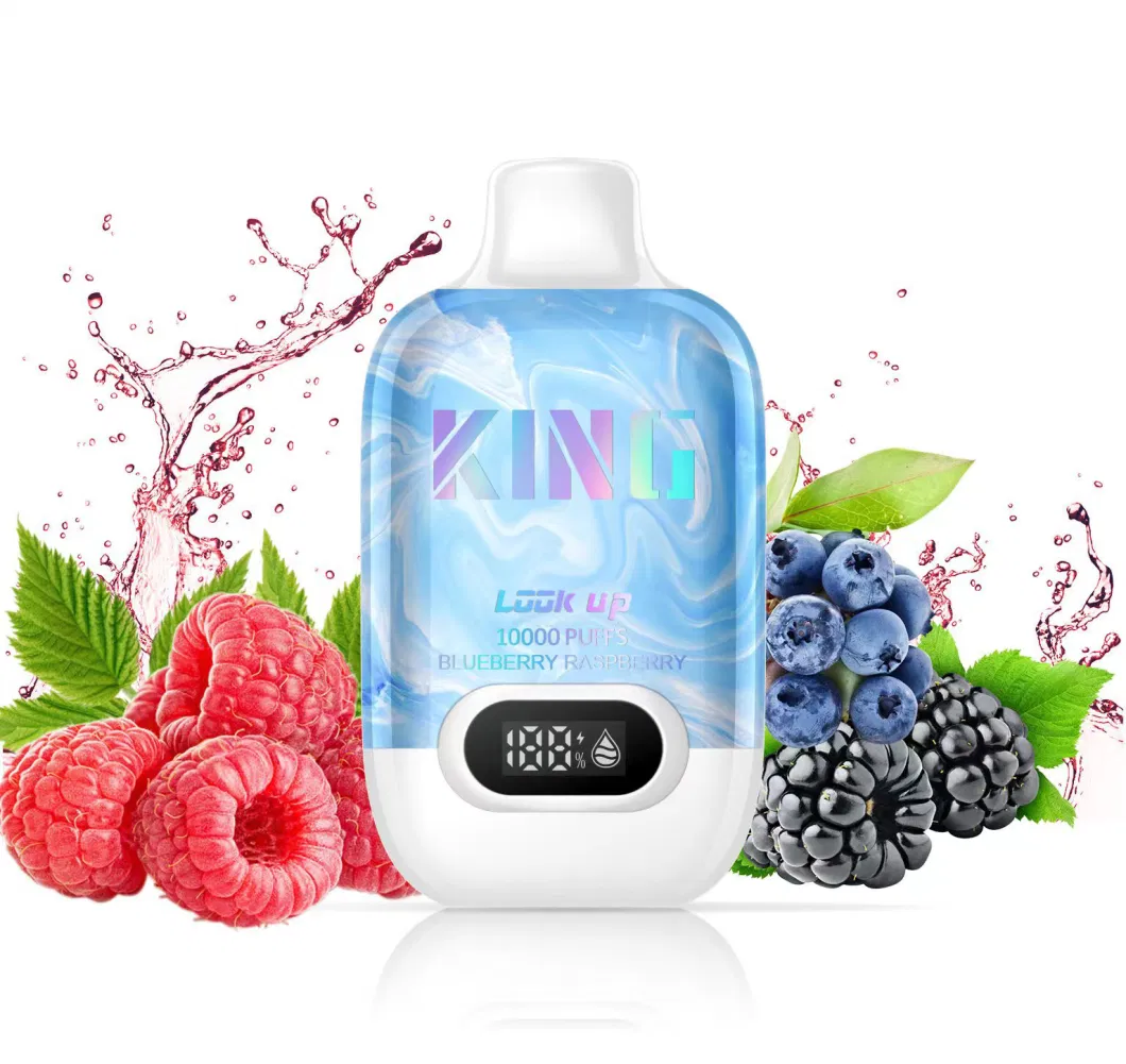 10000 Puffs 2% Nicotine E Liquid Disposable Vape Original Good Taste Fruit Flavor Ecigarette