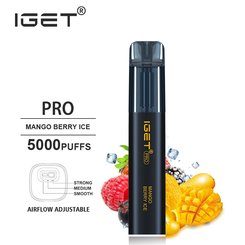 Iget Original Wholesale 5000puff Disposable Vape Iget PRO 13flavors