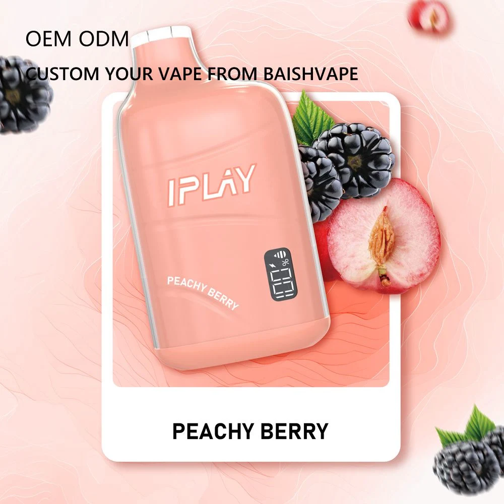 Zbood White Label Te6000 Mk5000 Ijoy Mrvi Pod Iplay Vibar 6500 Puff Disposable Vape with Smart Display Screen