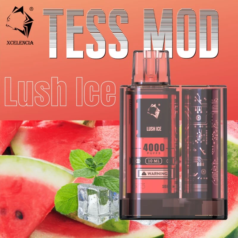 Hot Sell 10000 Puffs Disposable Vaporizer with Good Price for Wholesale Tess Vape