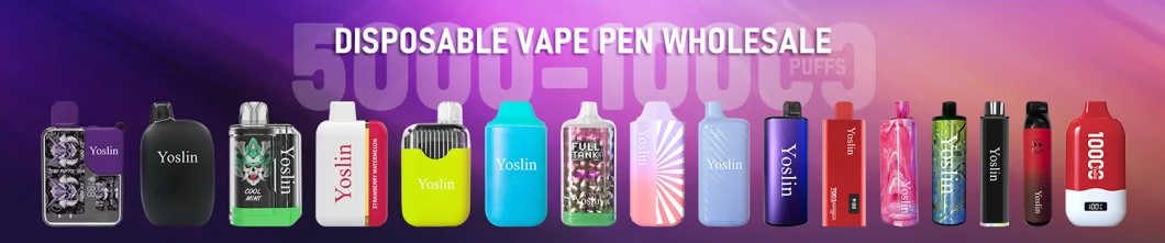 Blue Cheap Price 30 Flavors Available Disposable Vape 7000 Puffs 13ml E-Liquid