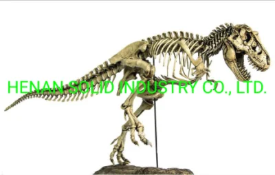  Los huevos de dinosaurio de combustibles para Dino Theme Park