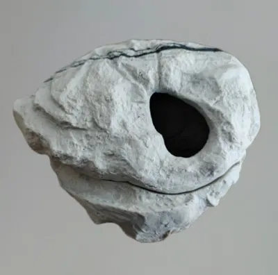  La alta calidad Medio pequeños accesorios reptiles reptiles de resina plástica Ocultar Cueva