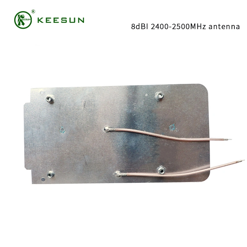 Shenzhen Factory 2.4G WiFi CPE Built -in Antenna Vibration