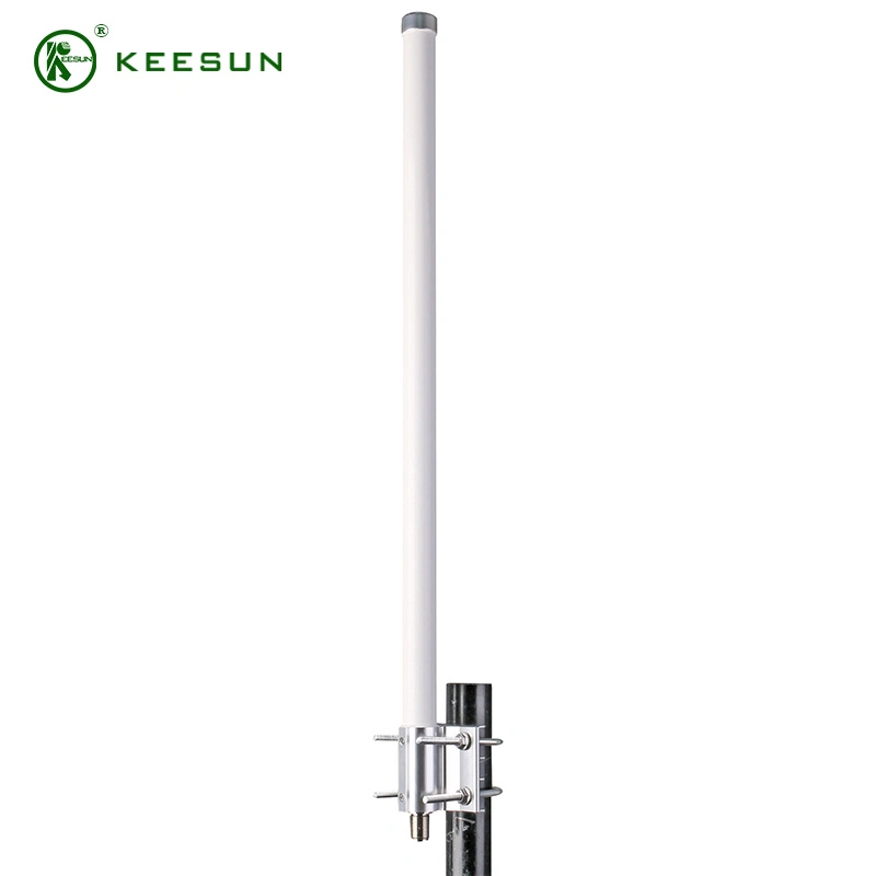 Gainer Miner Rak 5.8dBi 8dBi 10dBi 868MHz 915MHz Outdoor Fiberglass Antenna with Metal Bracketsl