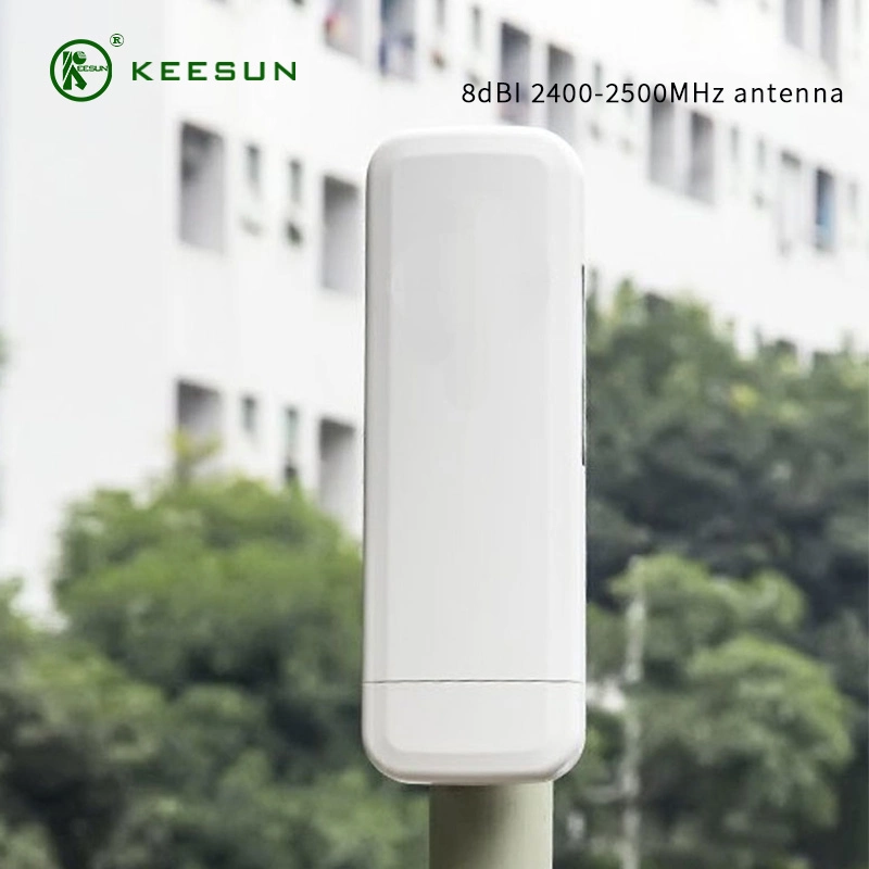 Shenzhen Factory 2.4G WiFi CPE Built -in Antenna Vibration