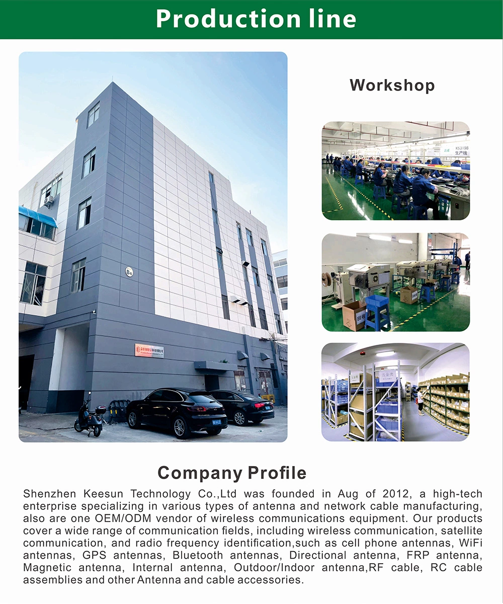 Shenzhen Factory 2.4G WiFi CPE Built -in Antenna Vibration