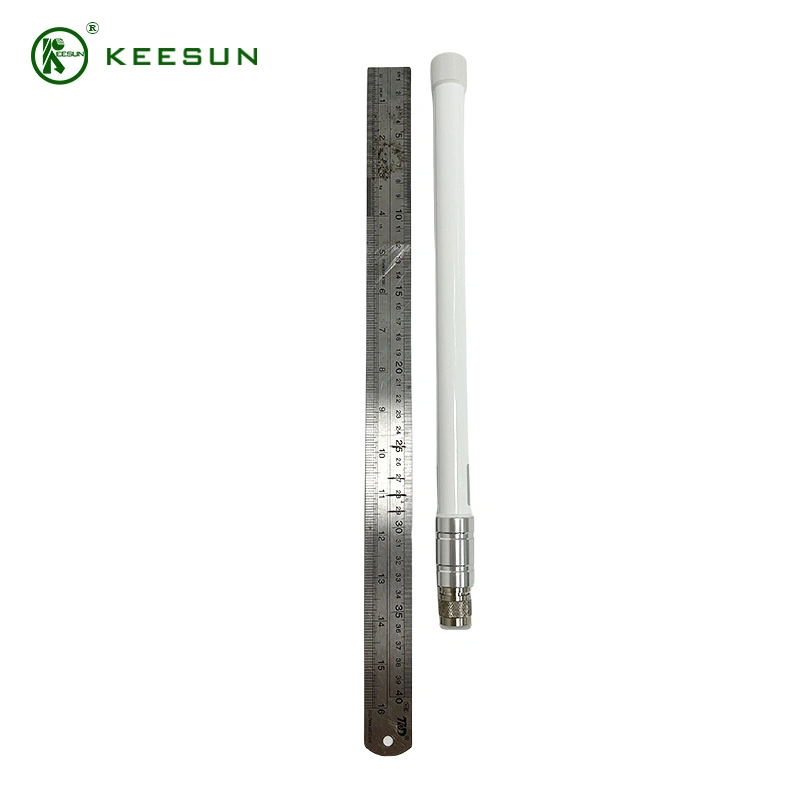Gainer Miner Rak 5.8dBi 8dBi 10dBi 868MHz 915MHz Outdoor Fiberglass Antenna with Metal Bracketsl
